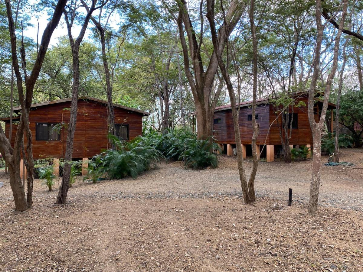 Casa Natural Brasilito Eksteriør billede