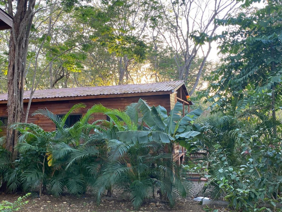 Casa Natural Brasilito Eksteriør billede