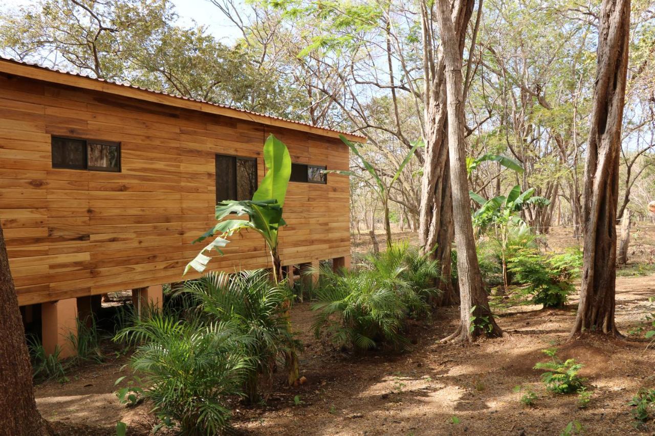 Casa Natural Brasilito Eksteriør billede